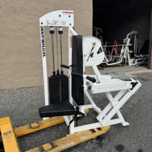 Bodymasters Selectorized Dip