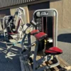 Cybex Eagle Bicep Curl