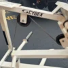 Cybex Kneeling Leg Curl