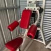 Flex Fitness Selectorized Lateral Raise