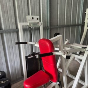 Flex Fitness Selectorized Tricep Dip RARE!!!!!