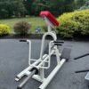 Flex Fitness T Bar Row