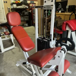 Flex Leg Extension