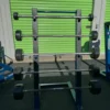 Legend Fitness Barbell Rack w Troy Barbells